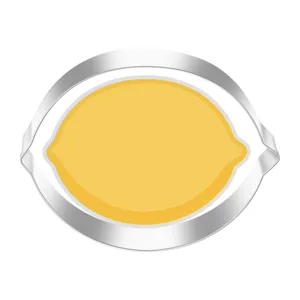 Stainless steel lemon shaped fruit cookie cutter detail view, durable baking mold for kitchen use.