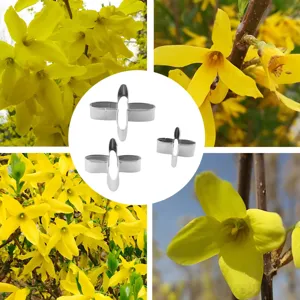 Set tagliabiscotti in acciaio inossidabile a forma di fiore di forsizia per decorazione torte fai da te.