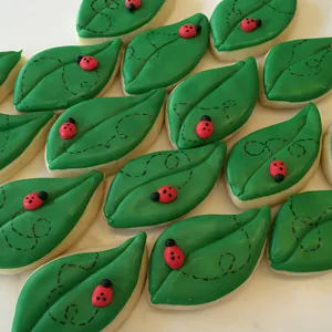 Leaf shaped iced cookies set with cute ladybug decoration for baking party and gift displays