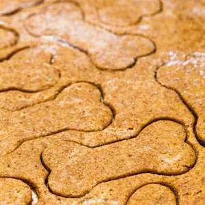 Stainless steel bone cookie mold for home baking, durable kitchen gadget and pastry cutter tool.