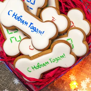 Bone shaped iced gingerbread cookies detail view with colorful holiday text decorations in red box.