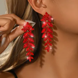 Stupefacenti orecchini lunghi con nappe di cristallo rosso da donna, gioielli da festa nuziale.