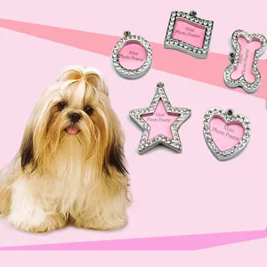 Zinklegering Strass Huisdier ID Tag Mini Fotolijst Hanger Voor Honden Katten Hart Bot Ronde Vorm Hondenpenning Ketting Decoratie