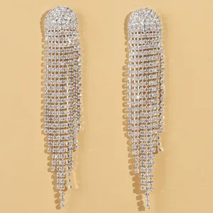Eleganti orecchini lunghi con frange di strass da donna, gioielli scintillanti.