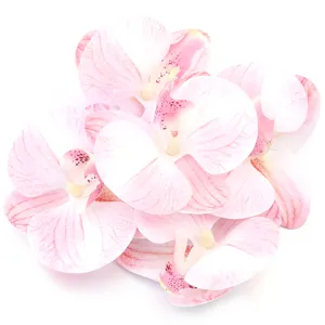 Artificial pink phalaenopsis orchid flower heads for home decoration and floral arrangements.