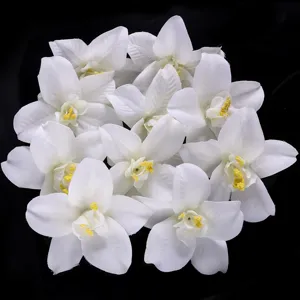 Artificial white orchid flower heads for wedding decoration, floral wall and DIY hair accessories.