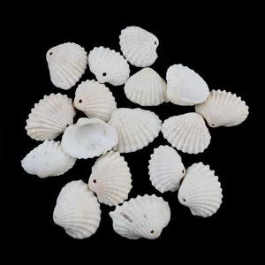 Natural white seashell beads detail shot, DIY accessories for handmade jewelry making.