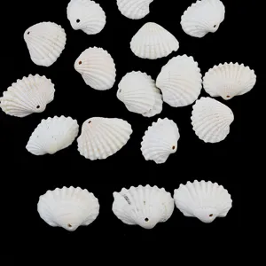White sea shell beads with drilled holes, perfect for DIY jewelry crafting, necklaces and bracelets.