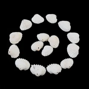Natural white seashell beads for DIY jewelry making, handmade necklaces, bracelets, crafts.