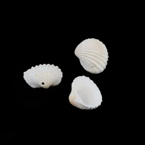 Natural white seashell beads for DIY jewelry making, crafts, necklaces, and wind chimes.