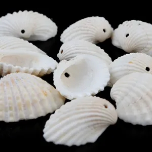 Natural white shell beads for DIY jewelry making, handmade necklaces, bracelets and wind chimes.