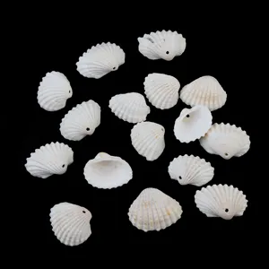 Natural white seashell beads with drilled holes for DIY necklaces, bracelets and wind chimes.