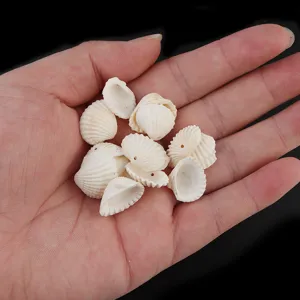 White seashell beads with holes for DIY handmade jewelry necklace bracelet accessories crafting
