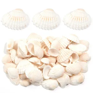 Natural White Scallop Shell Beads For Jewelry Making DIY Craft Kids Creative Painting Wind Chime Accessories Handmade Shell Charms