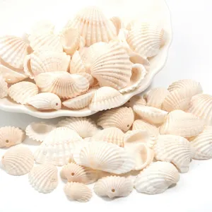 White seashell beads for kids DIY crafts, natural conch shell charms for jewelry making.