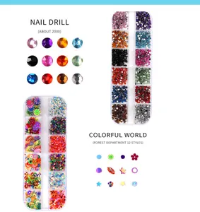 Ensemble de strass et paillettes pour nail art coloré, boîte multi-grilles pour manucure pro.