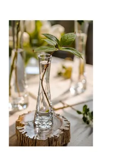Modern glass bud vase detail, clear slender hydroculture bottle with wooden base display.