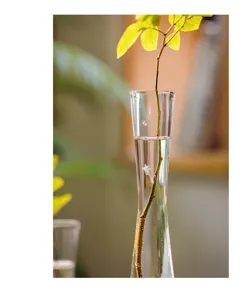 Transparent glass hydroponic vase narrow neck modern plant propagation bottle flower ornament