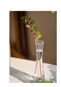 Clear close-up of a transparent glass bud vase featuring narrow neck design and water.