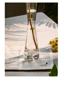 Detail shot of a modern clear glass hydroponic vase with a slender neck and delicate plant stem.