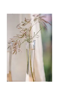 Clear glass bud vase detail showing narrow opening holding a delicate botanical branch.