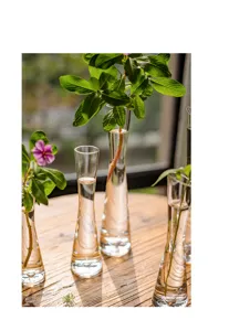 Clear glass vase set for hydroponic plants and fresh flowers, elegant slender tabletop decor.