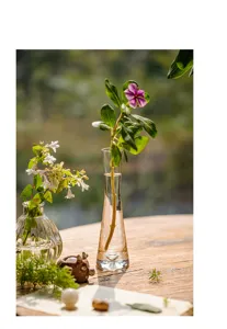 Transparent glass bud vase for single stem flowers, minimalist modern home decor tabletop display.