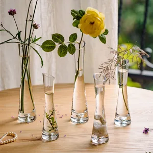 Modern Transparent Glass Bud Vase Small Caliber Hydroponic Plant Flower Arrangement Desktop Miniature Decorative Glass Vase