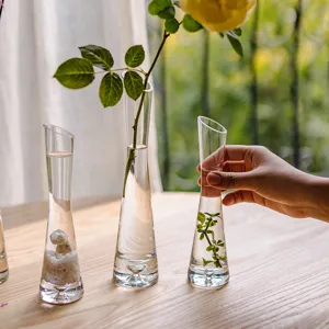 Modern clear glass bud vase for hydroponic plants and floral arrangements table decor.