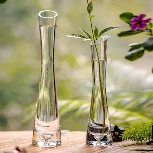 Modern clear glass bud vase set, slender hydroponic flower arrangement bottle for home decor.