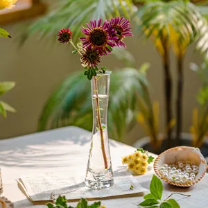 Modern clear glass bud vase for single flower hydroponic arrangement minimal desktop decor
