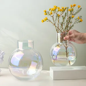 Nordic Minimalist Iridescent Glass Vase Clear Ball Shaped Flower Vase Modern Decorative Floral Arrangement Tabletop Decor