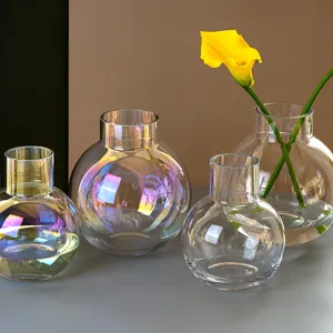 Nordic iridescent glass vase modern minimalist transparent flower vase for home decor setup