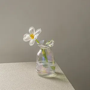 Transparent glass mini vase for table flower arrangement, elegant hydroponic decor container.
