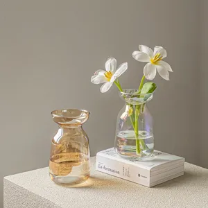 Mini glass vase for home decor transparent hydroponic flower pot tabletop floral arrangement container
