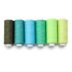 Colorful polyester sewing thread spools set for household clothing and DIY weaving crafts