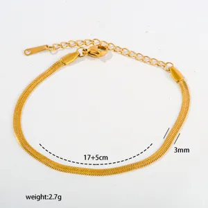 Gold stainless steel flat snake chain bracelet detail, minimalist daily wear jewelry design.