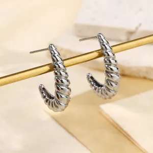 Boucles d'oreilles créoles torsadées en acier inoxydable, détail de bijou argent.