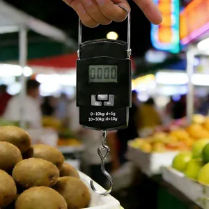 Pèse-bagage électronique portable, balance suspendue mini haute précision pour cuisine.