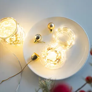 Catena luminosa LED decorativa natalizia per illuminazione calda atmosfera interna casa festa