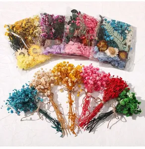 Bunte Trockenblumen Sträuße und konservierte Blumen Materialpakete für DIY Deko Basteln.