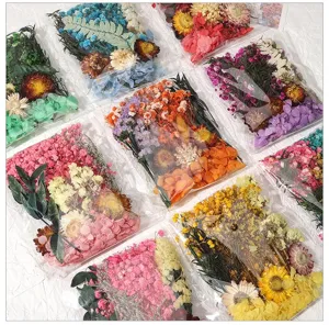 Bunte Trockenblumen Packungen fuer DIY Bluemchen Straeusse und Bota Dekoration Material.