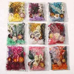 Natürliche Trockenblumen Bouquet Material Kit Bunte Gemischte Konservierte Blumenarrangement Für Handgemachte Dekoration Handwerk