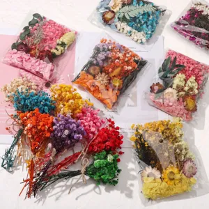 DIY Trockenblumen Strauß konservierte Blumen Materialpackung bunt gemischt Bastelzubehör