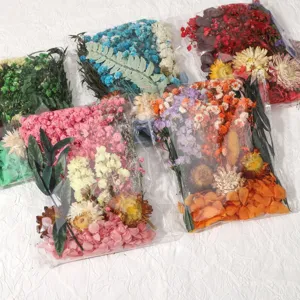Trockenblumen Strauß DIY konservierte Blumen Material Pack bunte gemischte Bastelzubehör
