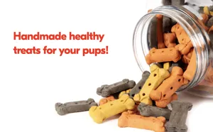 Handmade dog bone treats in glass jar, healthy pet snacks for daily training and reward.