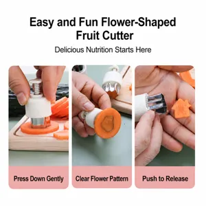 Stainless steel vegetable and fruit cutter mold set, press type kitchen tool for kids food.