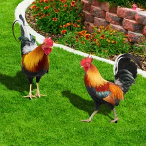 Beau piquet de coq de jardin pour pelouse statues décoratives art de cour vibrant