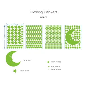 Étoiles brillantes autocollants muraux dessin animé mignons fluorescents détails 515pcs