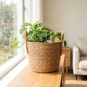 Geflochtener Strohkorb als dekorativer Pflanztopf mit grünen Blättern an einem sonnigen Fenster